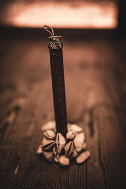 MEINL Sonic Energy Kenari Rod Shaker