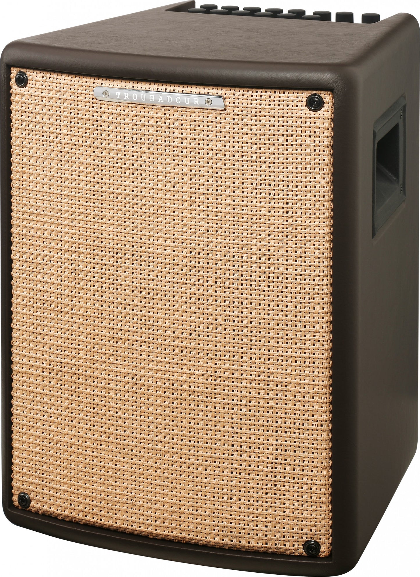 IBANEZ Troubadour Akustikverstärker - 80 Watt