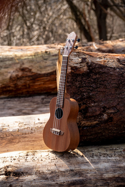 ORTEGA Timber Serie Concert Preamp Ukulele 4 String - Sapele Natural + Bag