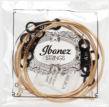 IBANEZ Saiten Set für 6 String Akustikgitarre - Custom Light