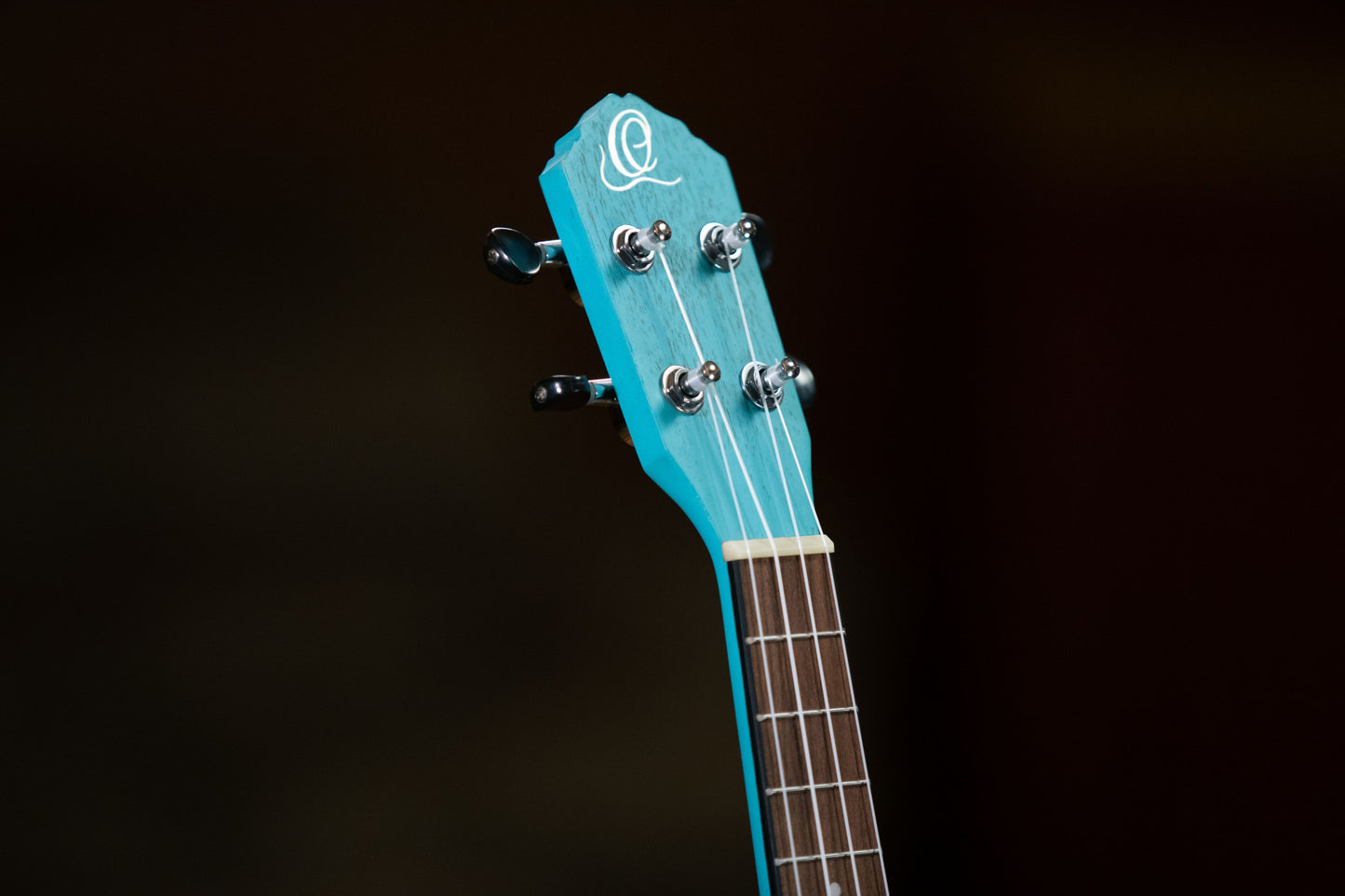 ORTEGA Earth Series Concert Ukulele 4 String - Lagoon