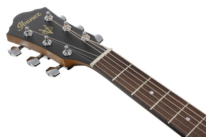 IBANEZ V Akustikgitarre 6-String Lefty - Open Pore Natural