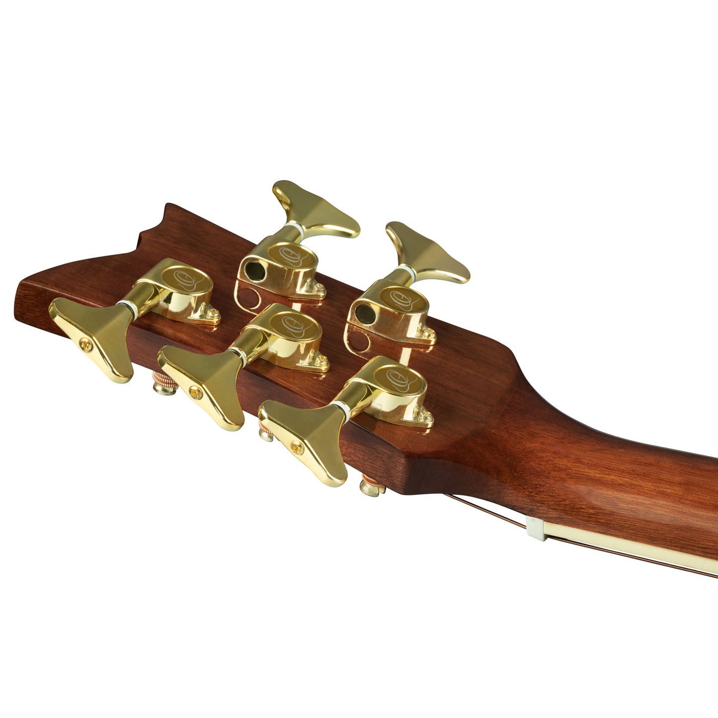 ORTEGA Deep Series 8 Acoustic Bass 5 String