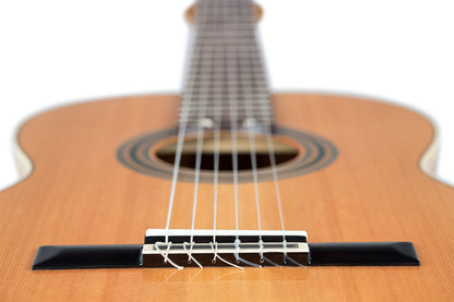 ORTEGA Traditional Series 4/4 Nylon String Guitar 6-String + Pro Gigbag