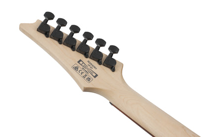 IBANEZ RGA E-Gitarre 6-String - Black Stained