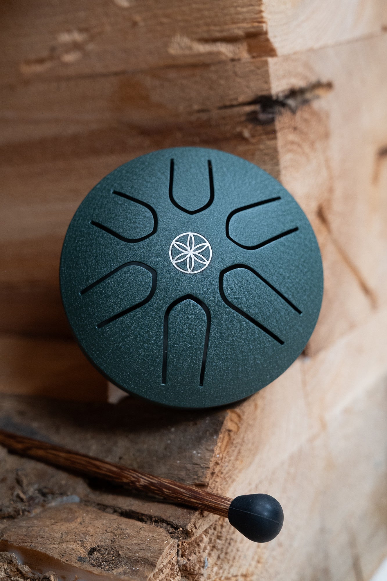 MEINL Sonic Energy 3" Pocket Steel Tongue Drum, A Dur, 6 Töne, 440 Hz, Dunkelgrün, Keim des Lebens
