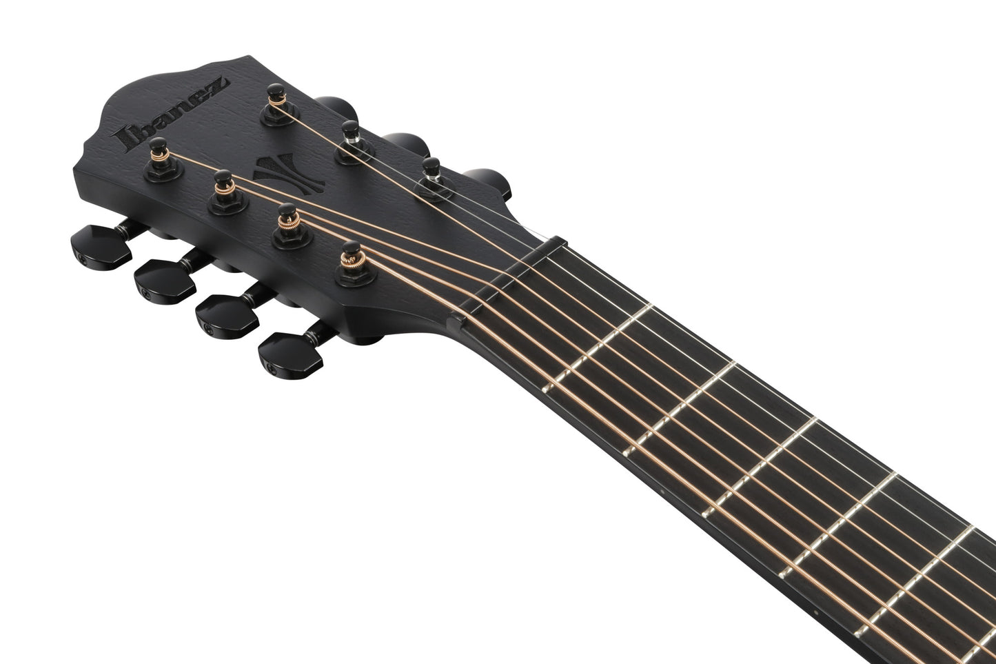 IBANEZ AEG Acoustic Guitar 7-String - Black Out