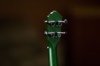ORTEGA Earth Series Concert Ukulele 4 String - Forest Green