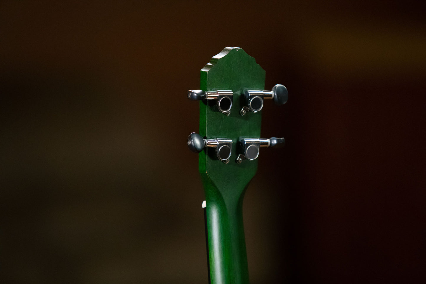 ORTEGA Earth Series Concert Ukulele 4 String - Forest Green