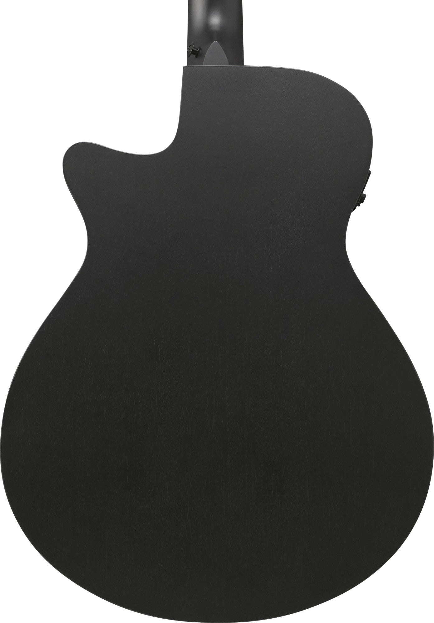 IBANEZ AEG Akustikgitarre 12-String - Black Out