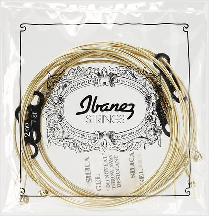 IBANEZ Saiten Set für 4 String Akustikbass