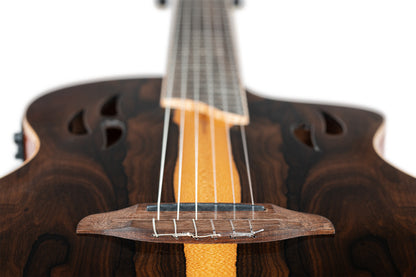 ORTEGA TourPlayer Series 4/4 size Nylon String Guitar 6-String + Pro Gig Bag