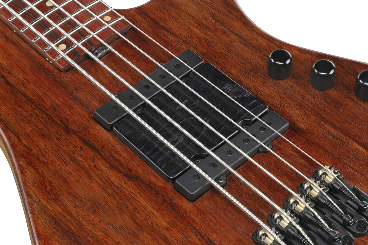 IBANEZ Visions MODE E-Bass 5-String + Koffer