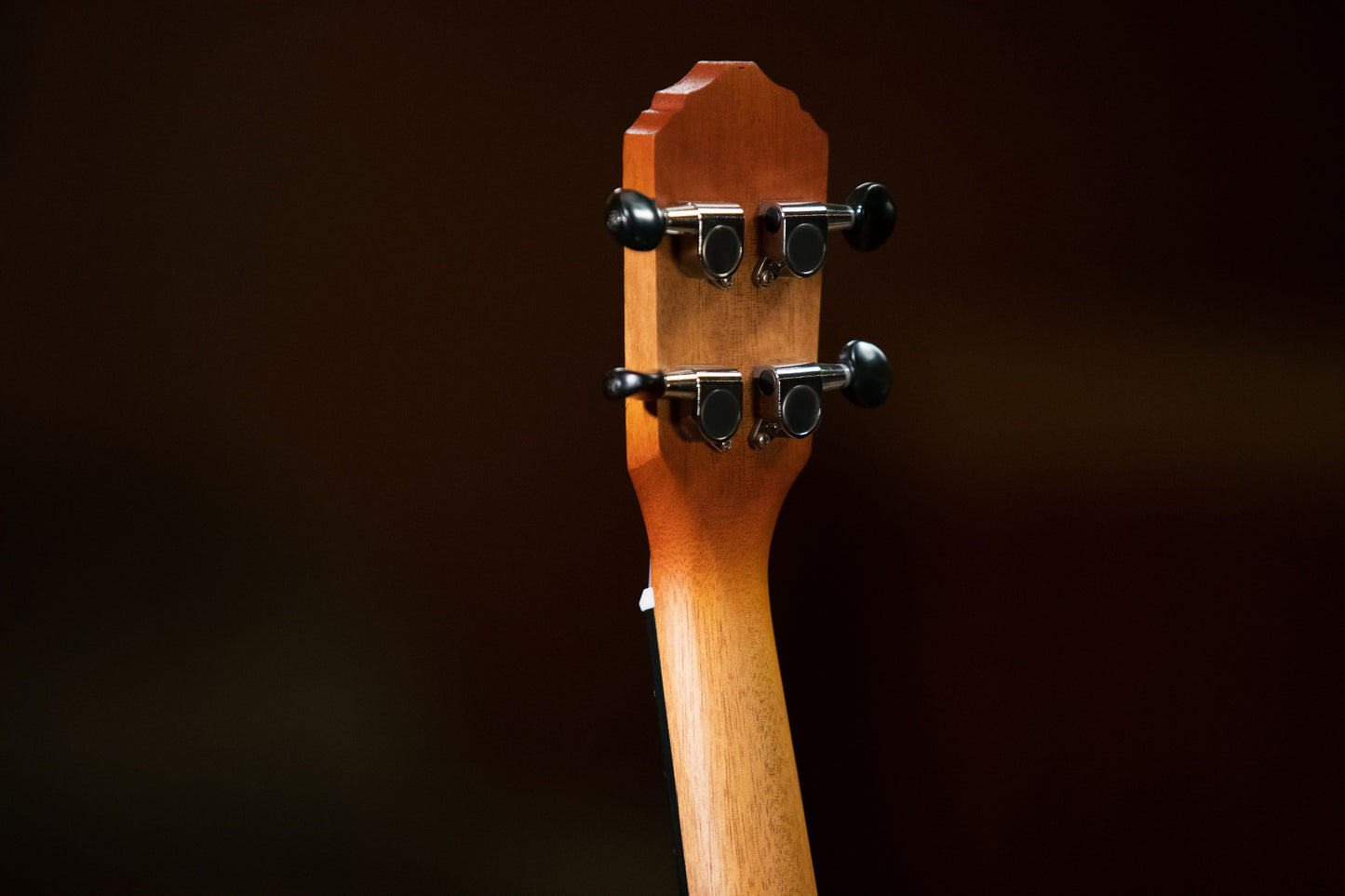 ORTEGA Earth Serie Konzert Preamp Ukulele 4 String - Sunburst