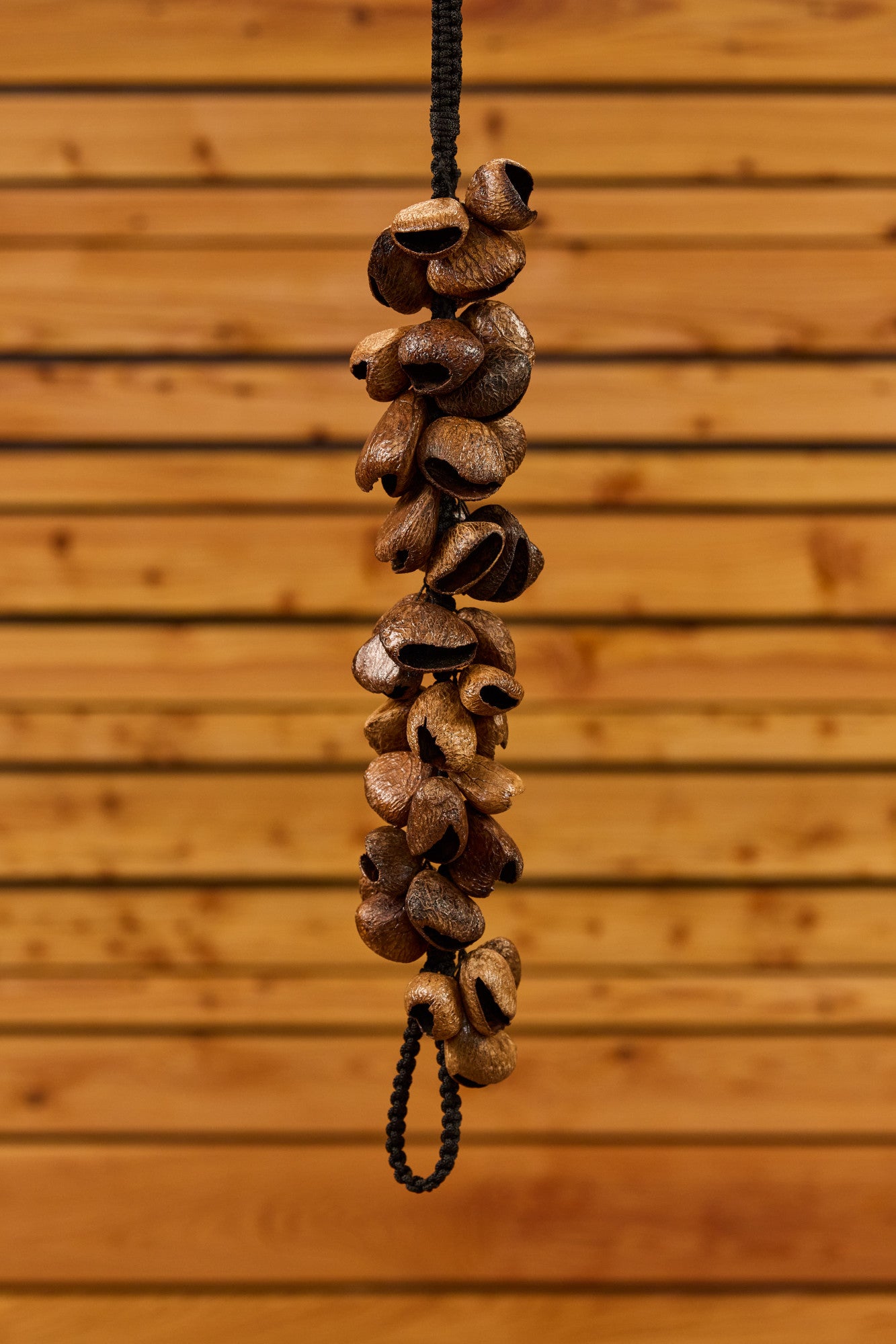 MEINL Percussion Pangi Waterfall Shaker, 40 Seeds