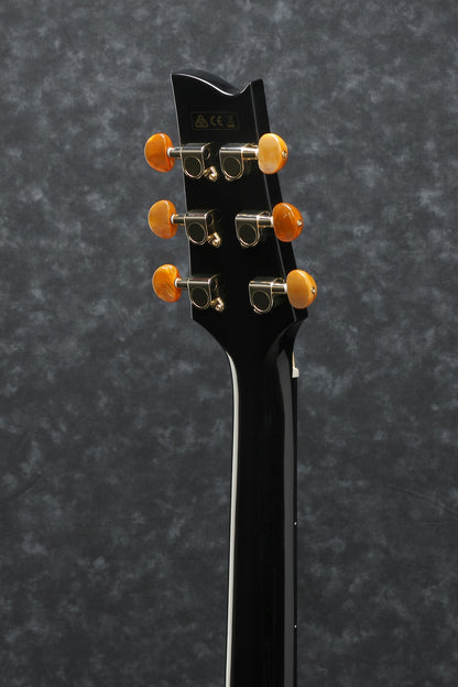 IBANEZ Steve Vai Signature Akustikgitarre 6-String - Black Pearl