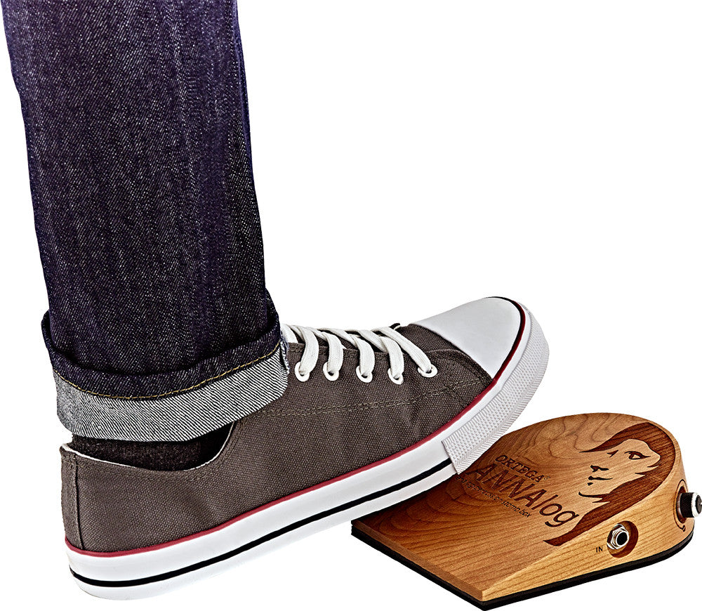 ORTEGA Stomp Box Effect Series ANNAlog