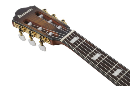IBANEZ FRH Nylon String Guitar 6-String - Tobacco Burst Low Gloss