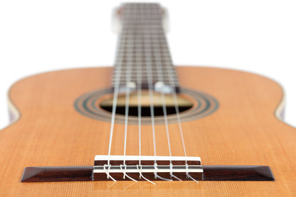 ORTEGA Traditional Series 4/4 Konzertgitarre 6-String + Pro Gigbag