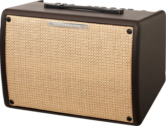IBANEZ Troubadour Akustikverstärker - 30 Watt