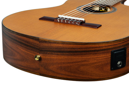 ORTEGA Thermo Series 4/4 Nylon String Guitar 6-String + Pro Gigbag