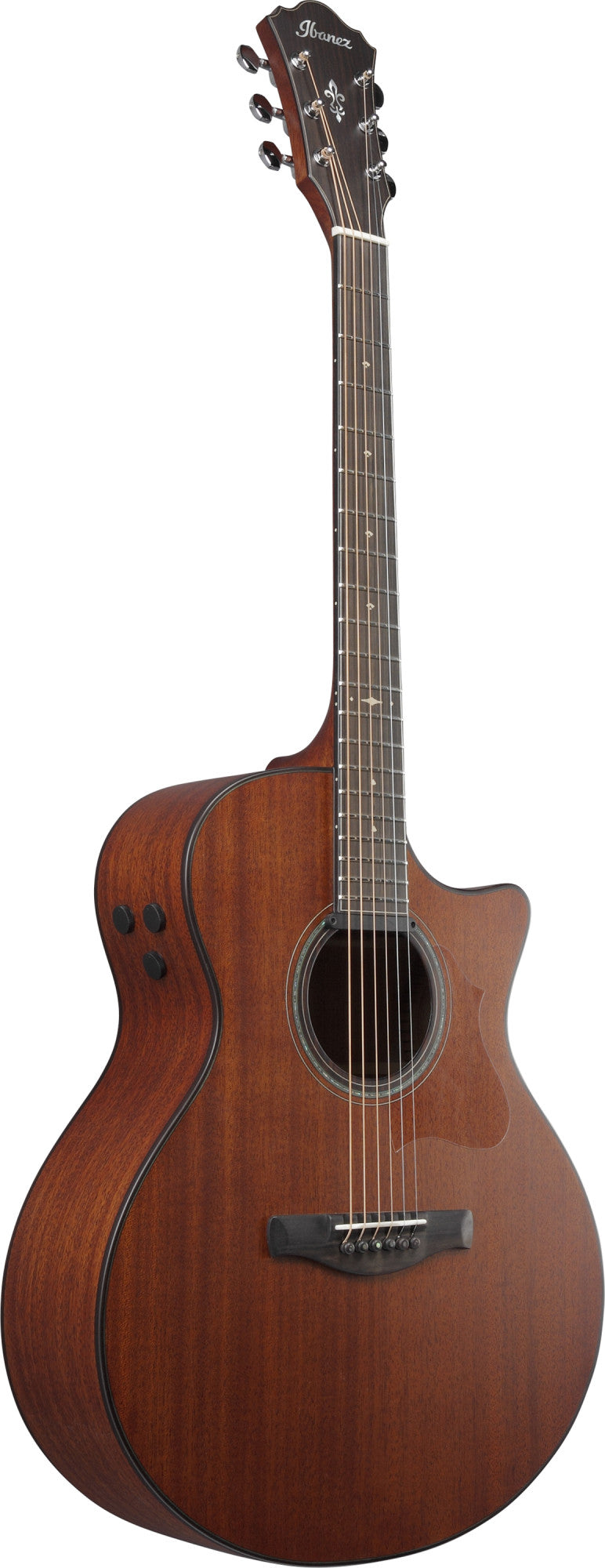 IBANEZ Platinum Collection AE Akustikgitarre 6-String - Natural Low Gloss + Koffer