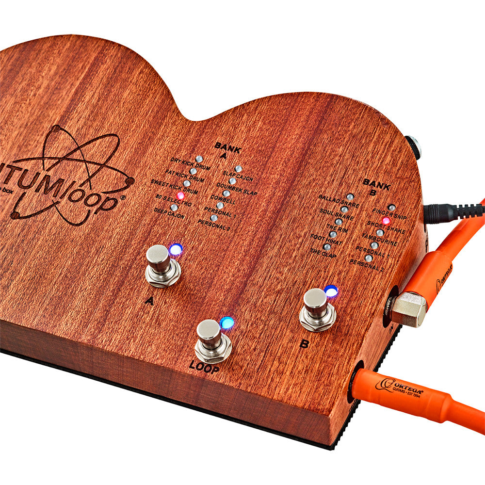 ORTEGA Stomp Box Effect Series Stomp Box & Looper