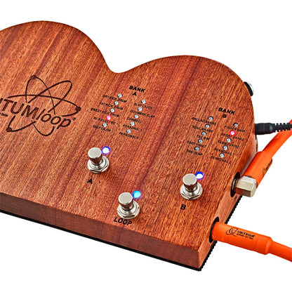 ORTEGA Stomp Box Effect Series Stomp Box & Looper