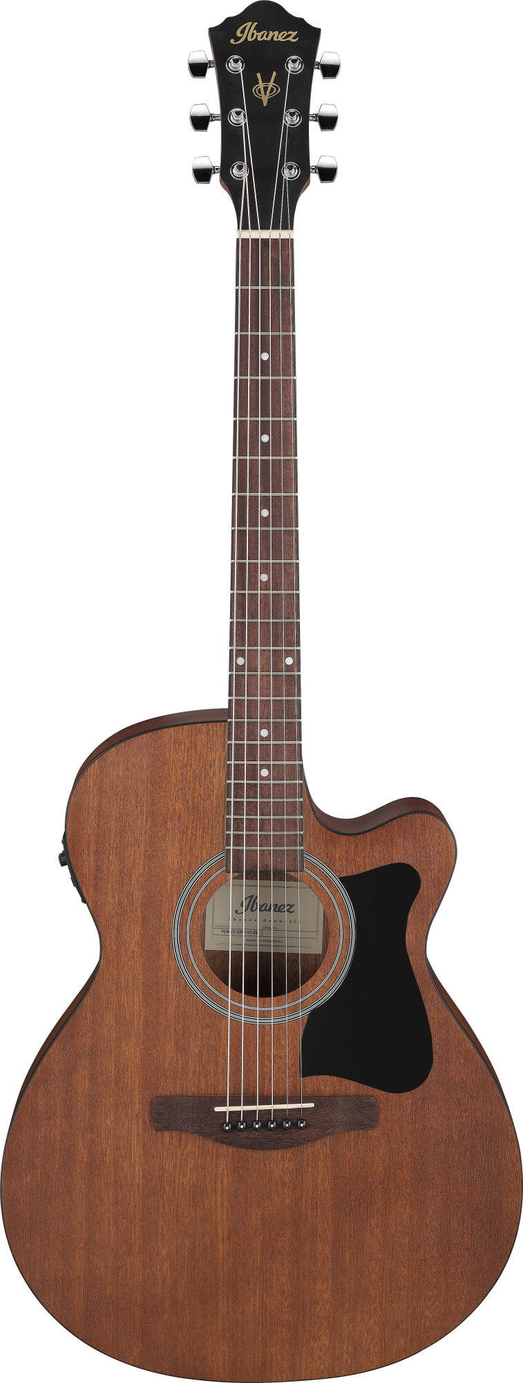 IBANEZ V Acoustic Guitar 6-String - Open Pore Natural