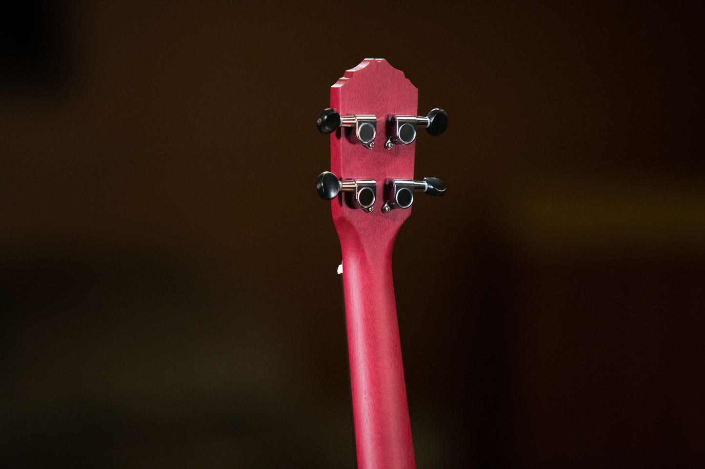 ORTEGA Earth Serie Konzert Preamp Ukulele 4 String - Raspberry Red