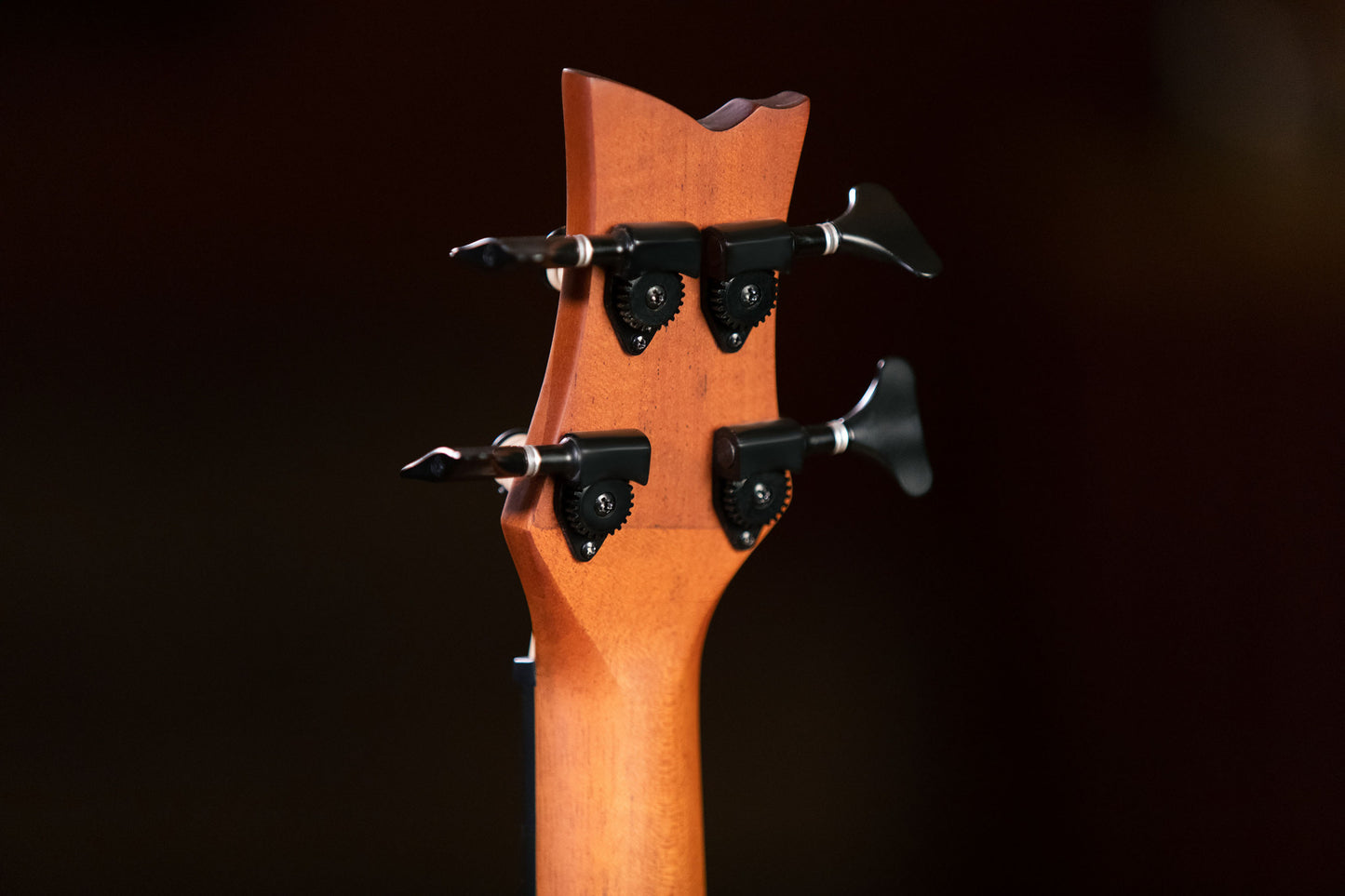 ORTEGA Lizard Serie Short Scale Fretless Uke Bass 4 String - Solid Mahogany Natural + Bag