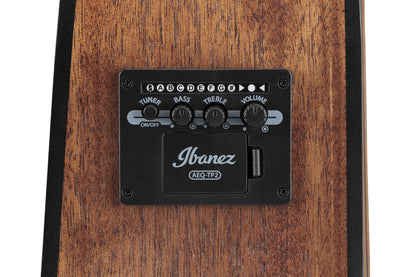 IBANEZ Artwood AW Akustikgitarre 6-String - Open Pore Natural