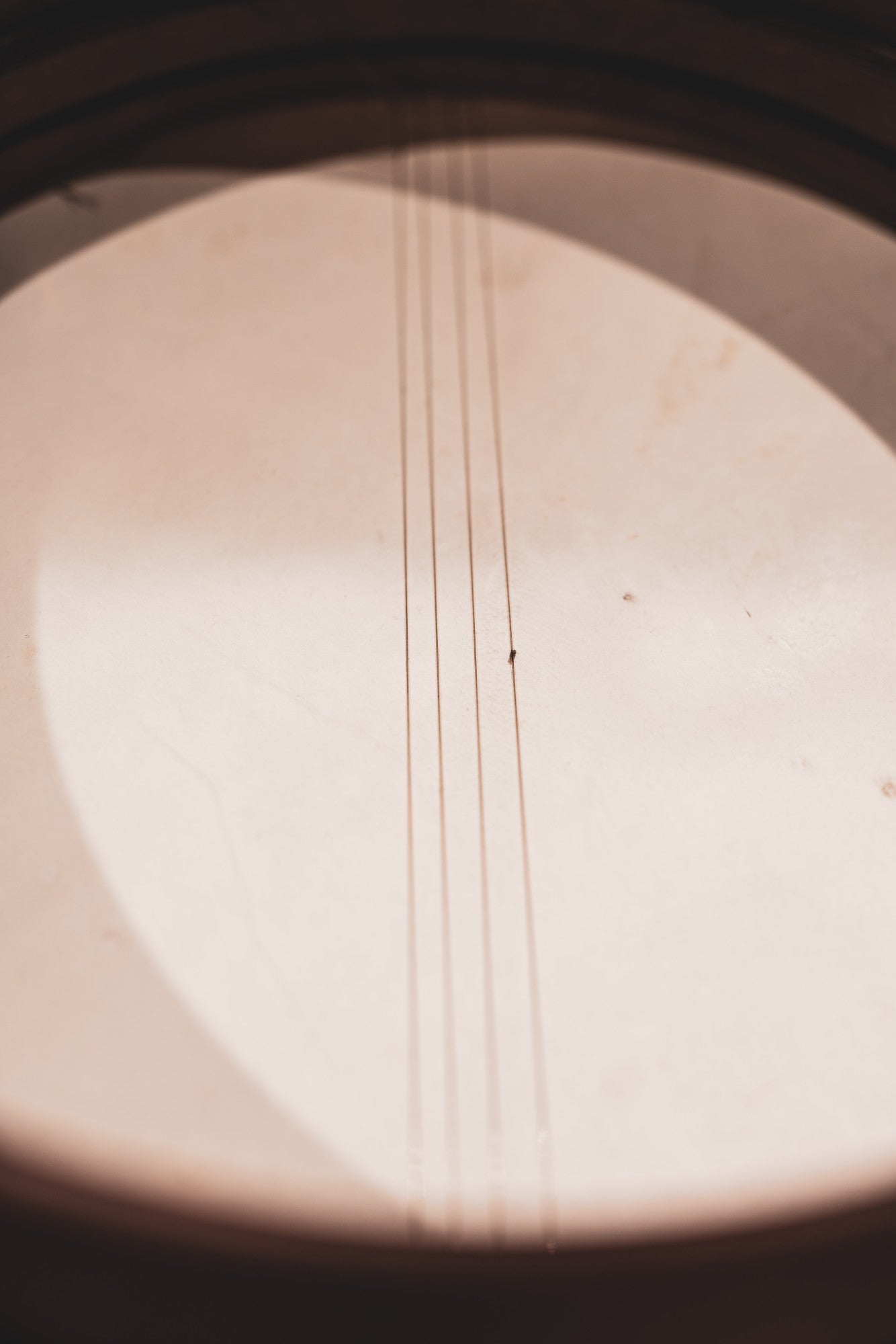 MEINL Percussion Bendir - 14"
