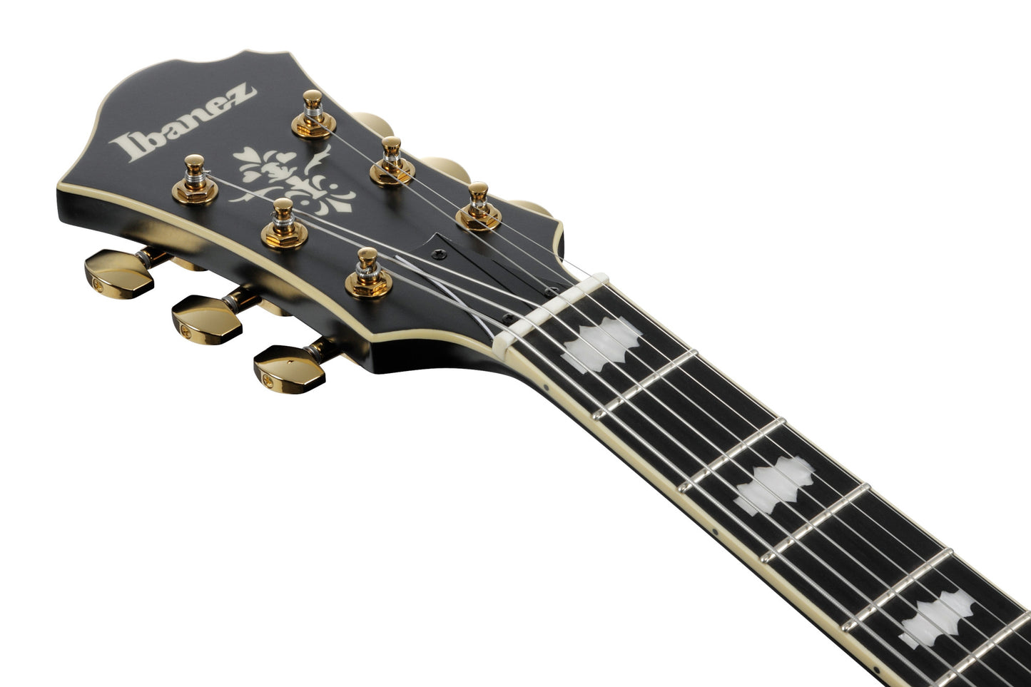 IBANEZ Pat Metheny Signature Hollow Body Guitar 6-String - Black Low Gloss + Case