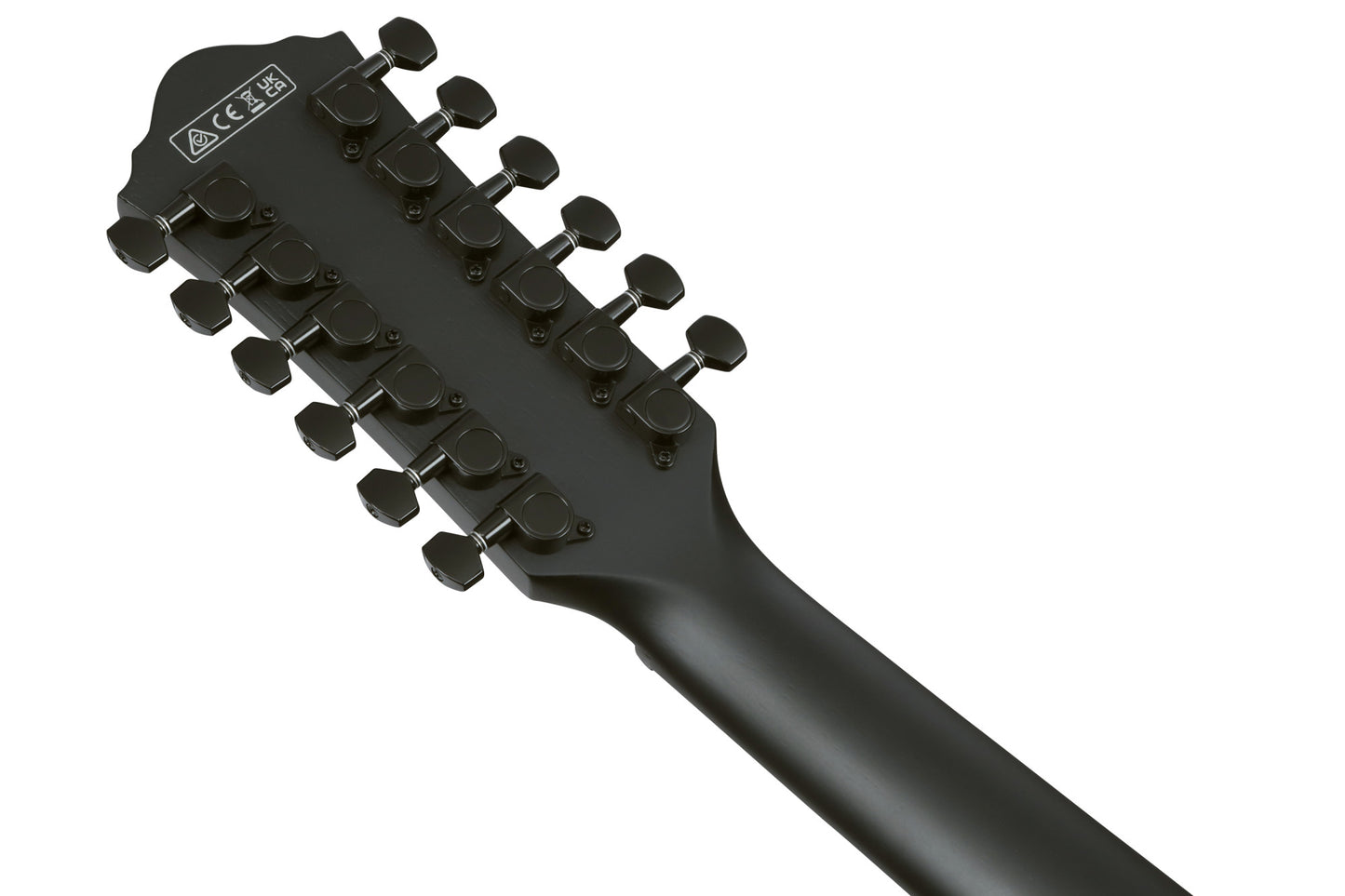 IBANEZ AEG Akustikgitarre 12-String - Black Out