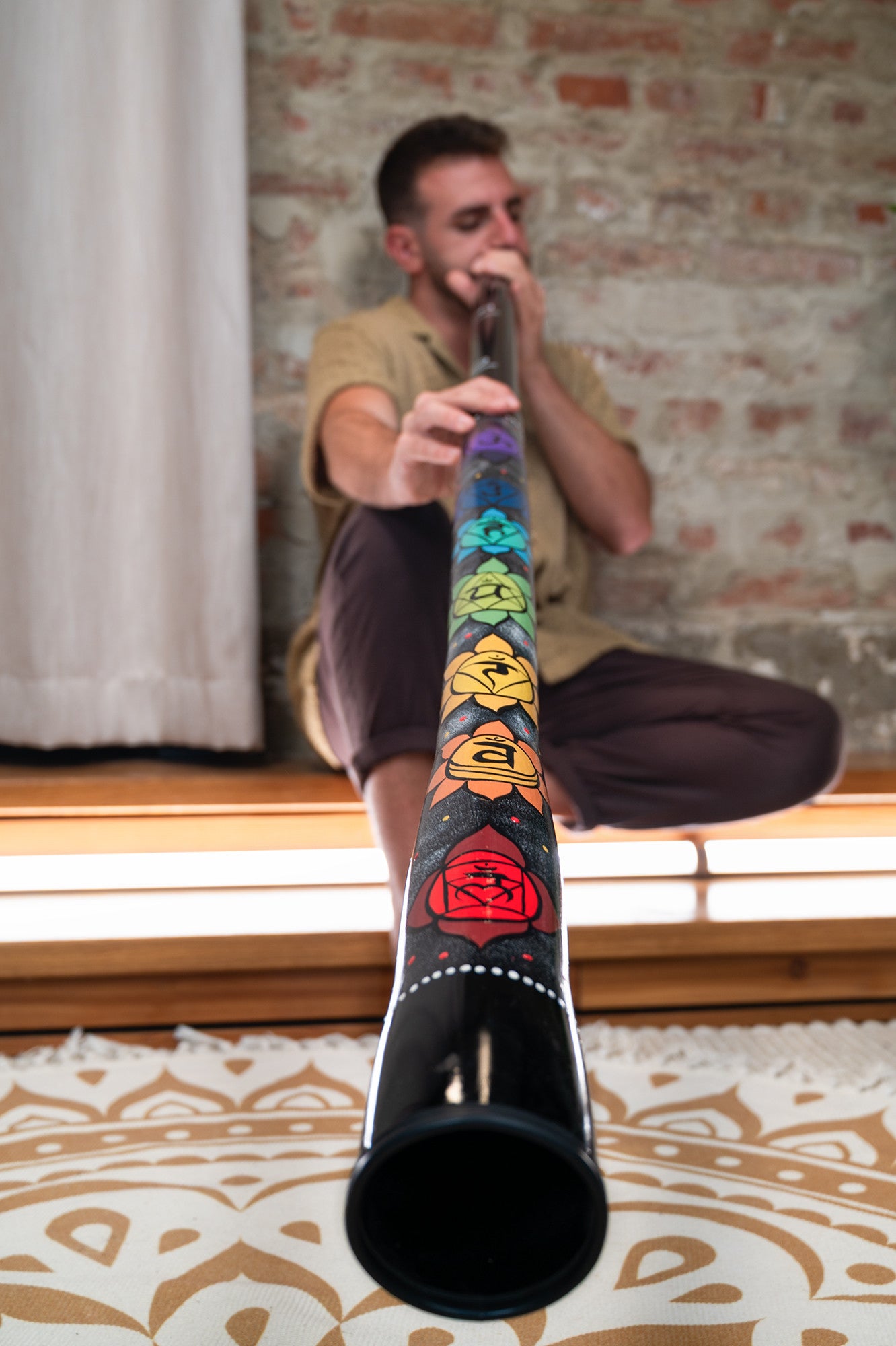 MEINL Sonic Energy Chakra Didgeridoo