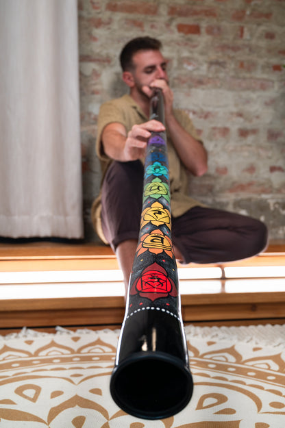MEINL Sonic Energy Chakra Didgeridoo