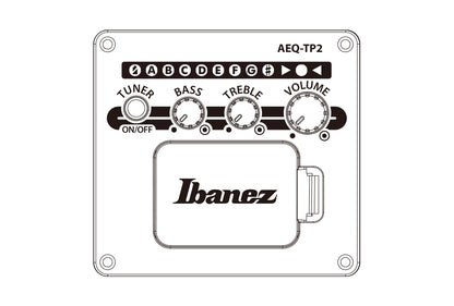 IBANEZ AJ Acoustic Guitar 6-String - Open Pore Natural