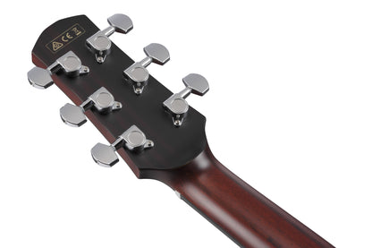 IBANEZ Platinum Collection Acoustic Guitar 6 String - Natural Low Gloss + Case