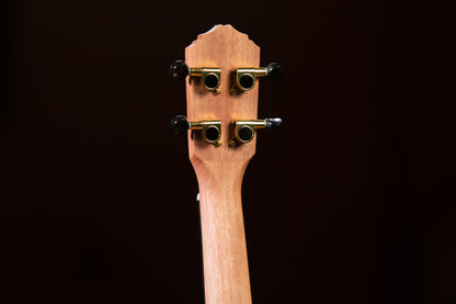ORTEGA Timber Serie Tenor Ukulele 4 String - Ebony Natural + Bag