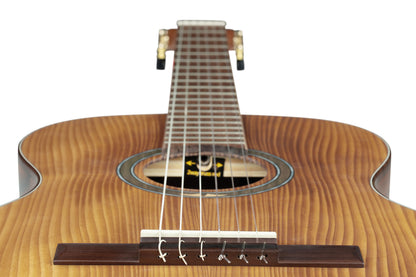ORTEGA Thermo Series 4/4 Konzertgitarre 6-String - Dunkelbraun matt + Gigbag