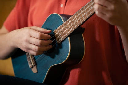 ORTEGA Earth Serie Konzert Ukulele 4 String - Ocean Blue