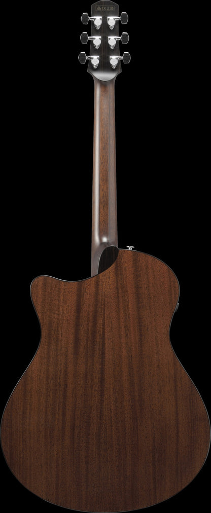 IBANEZ Advanced Acoustic, Platinum Collection 6-Str Natural High Gloss Auditorium Body