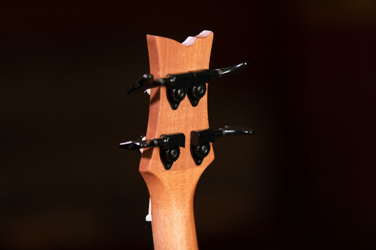 ORTEGA Lizard Serie Short Scale Fretless Uke Bass 4 String - Mahogany Natural + Bag