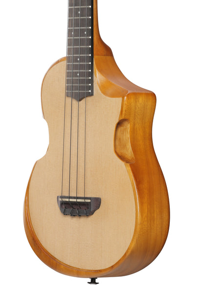 IBANEZ AU Tenor Ukulele - Open Pore Natural + Gig Bag