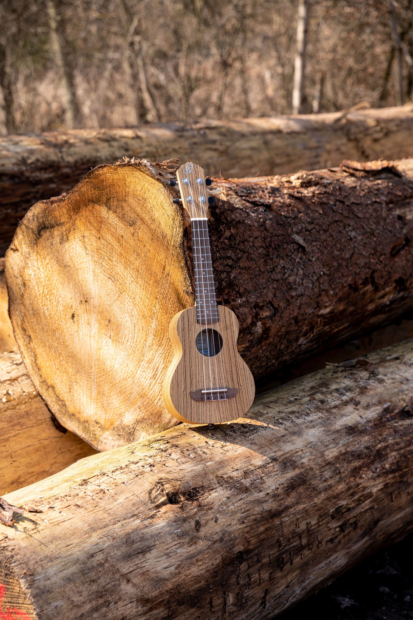 ORTEGA Timber Series Soprano Ukulele 4 String - Zebrawood Natural + Bag