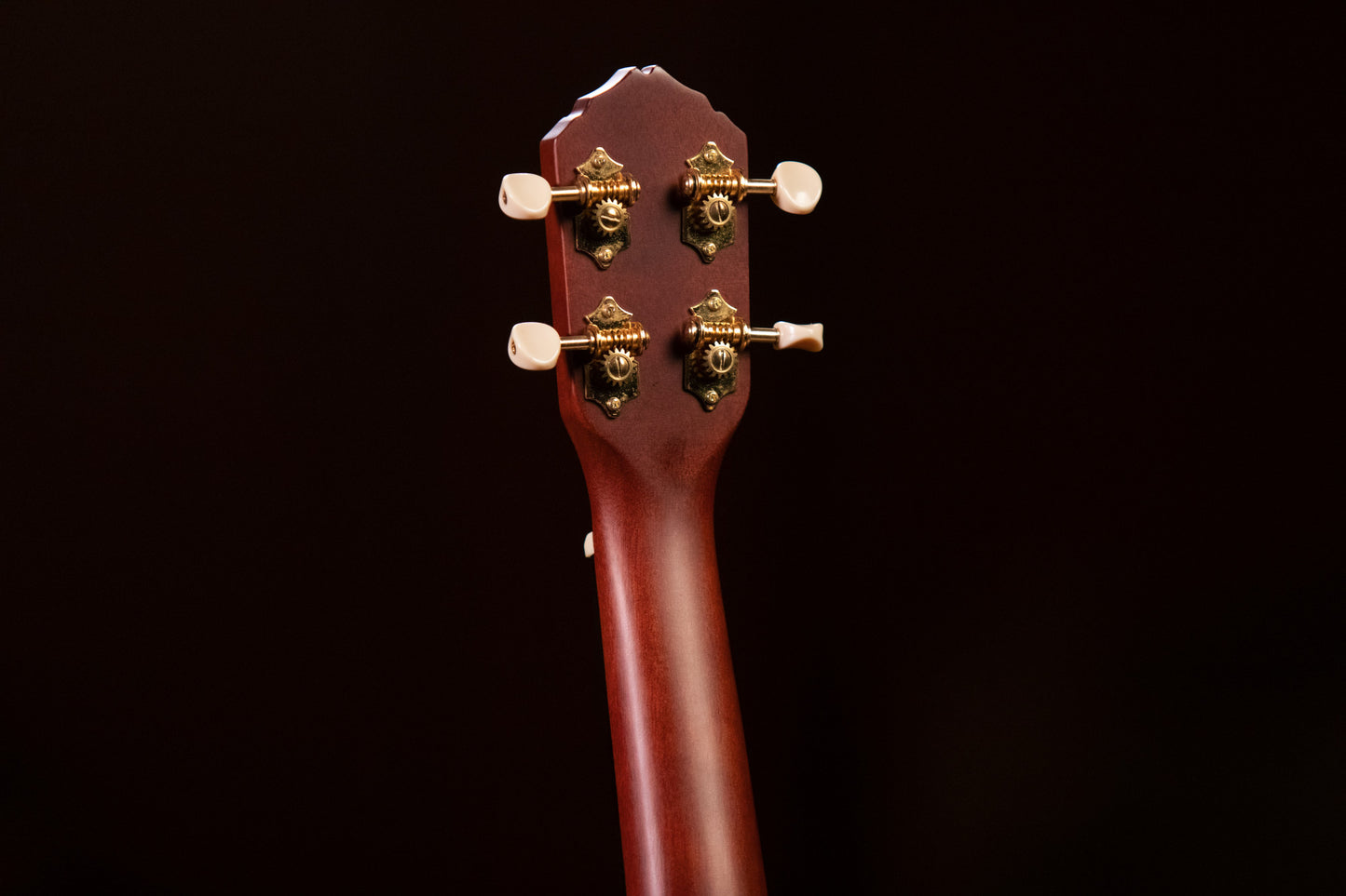 ORTEGA Timber Series Concert Ukulele 4 String - Mahogany Natural + Bag