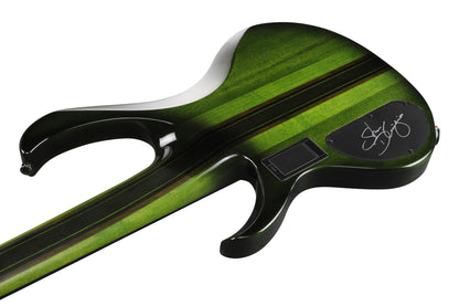 IBANEZ Steve Di Giorgio Signature E-Bass 5-String Fretless - Dark Moss Burst