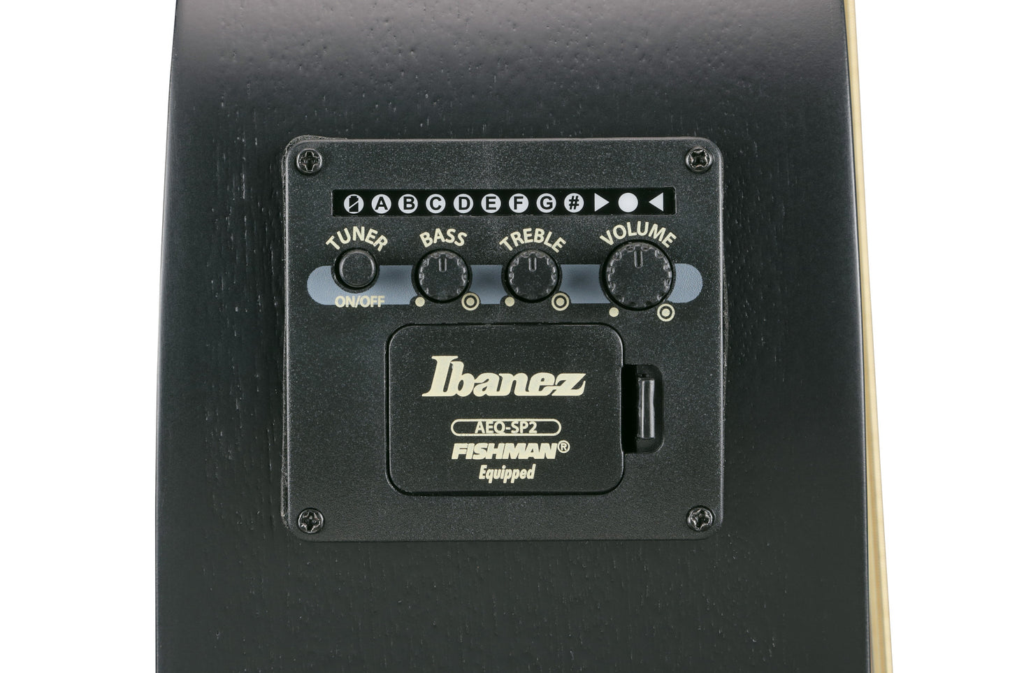 IBANEZ AEWC Acoustic Guitar 6-String - Black Out