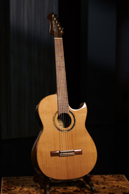 ORTEGA Ben Woods Signature Nylon String Gitarre 6-String + Ben Woods Gigbag